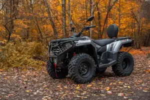 Квадроцикл для бездорожья