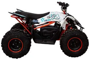 Квадроцикл для бездорожья