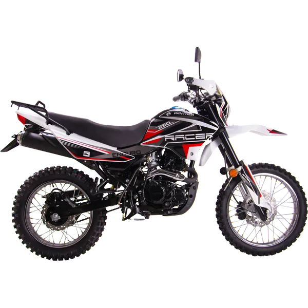 Мотоцикл RC250GY-C2 Panther