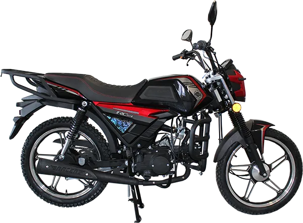 Дорожный мотоцикл RC110N-V BETA