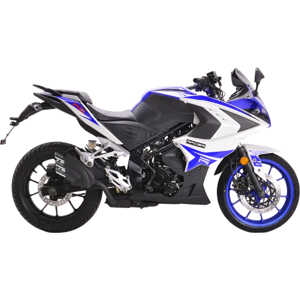 Дорожный мотоцикл RC250XZR-A Storm