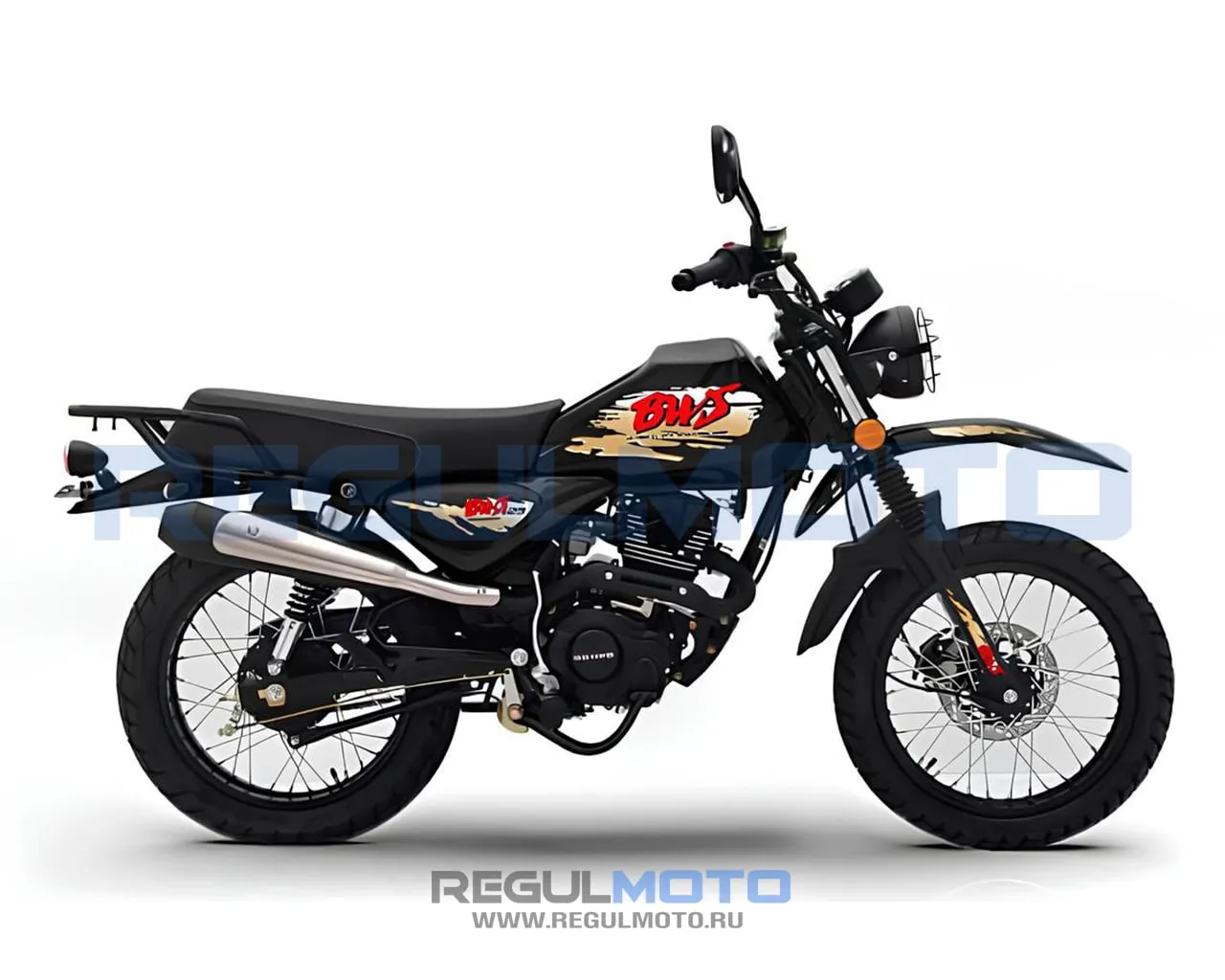 Дорожный мотоцикл Regulmoto BWS