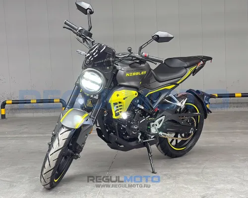 Дорожный мотоцикл Regulmoto Nibbler