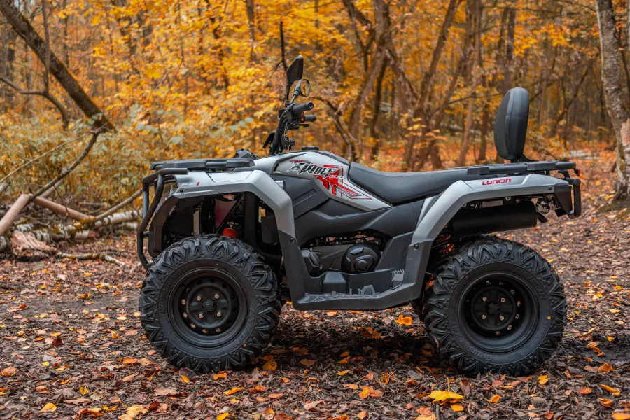 Квадроцикл для бездорожья