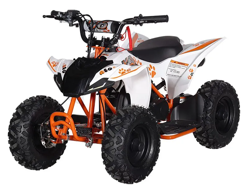 Квадрицикл