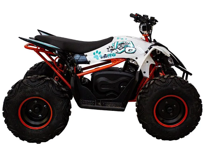 Квадроцикл для бездорожья