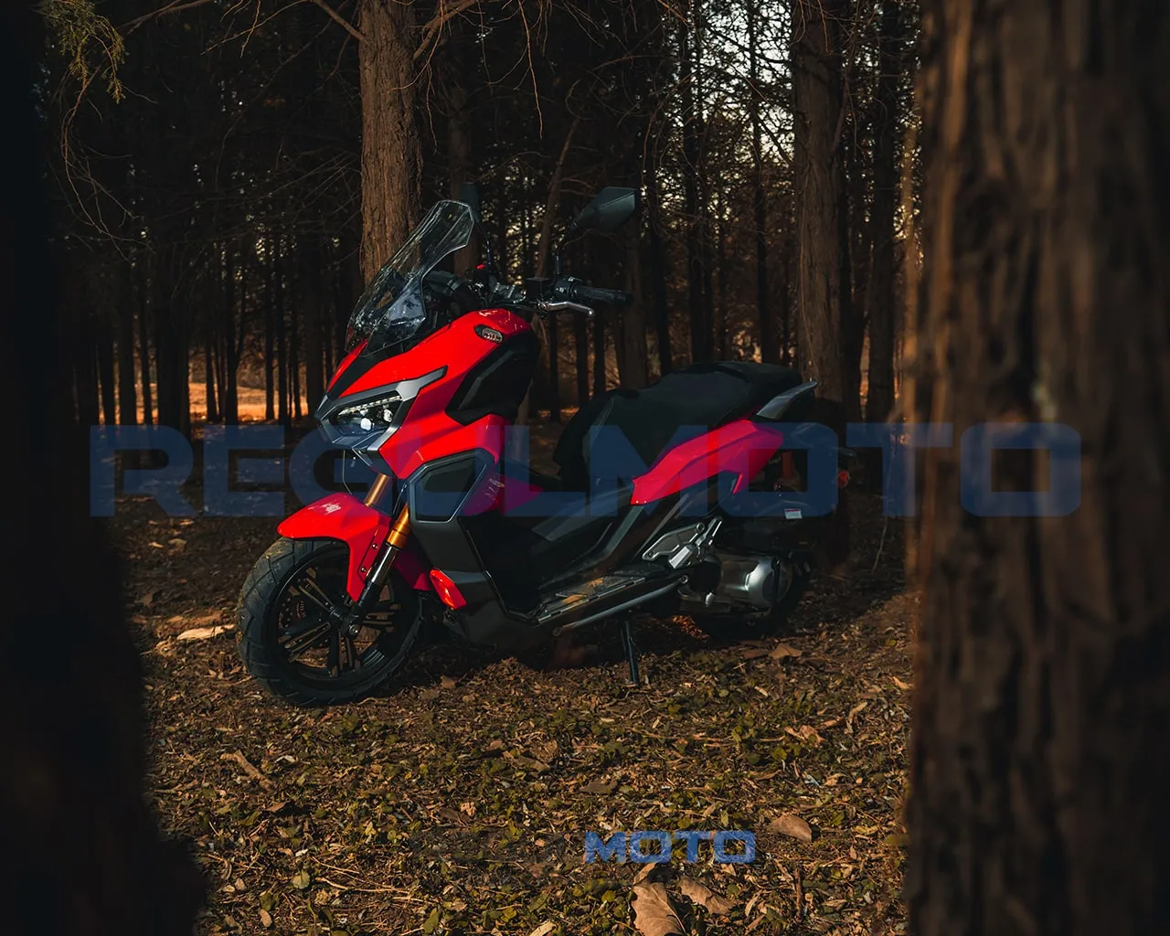 Макси-скутер Regulmoto XDV PRO 300CC (LJ300T-18) EFI
